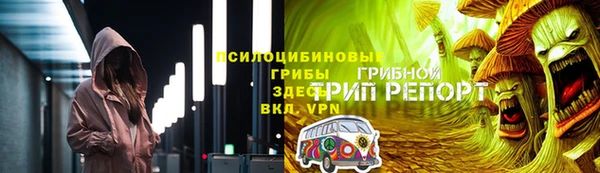 хмурый Бородино