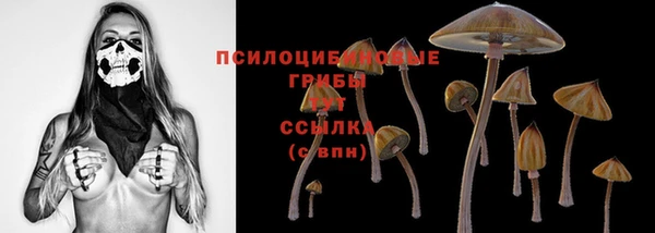 хмурый Бородино