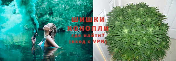 хмурый Бородино