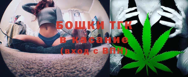 хмурый Бородино