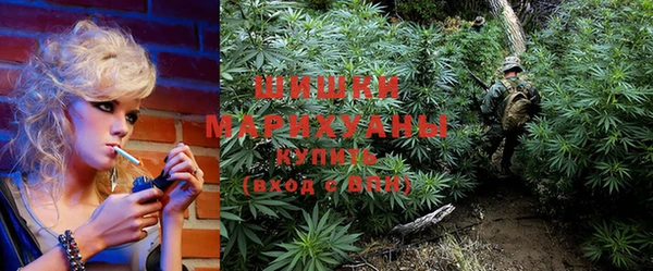 хмурый Бородино