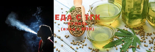 хмурый Бородино